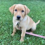 Nancy Petrie - @petrienancy - Instagram