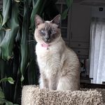 Nancy Petruska - @nancy.petruska - Instagram
