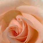 Nancy L Pflug - Facebook