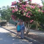 Nancy Phaneuf - Facebook
