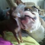 Nancy Phaneuf - @phaneuf58 - Instagram