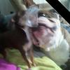 nancyphaneuf452 - @nancyphaneuf452 - TikTok