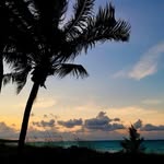 Nancy Phillips - @nancyleighphillips - Instagram
