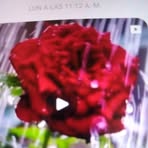 Nancy Pichardo - Facebook