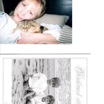 Nancy Dewitt Pickard - @nancydewittpickard - Instagram