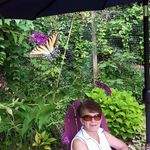 Nancy Kraft Pickard - @nancy.k.pickard - Instagram