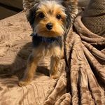 Nancy Pickard Hicks - @nallene - Instagram