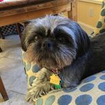 Nancy pickard Interiors - @nancy_pickard_interiors - Instagram