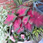 Nancy pickard Richardson - @nancypickardrichardson314 - Instagram