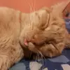 Nancy Piñera - @nancypinera - TikTok