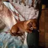 Nancy Pinkston Kimzey - @nancy.pinkston.ki - TikTok