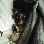 Nancy Pintor vega - @nancycat28 - Instagram