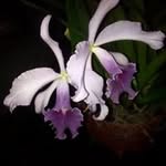 Nancy Pionce - @nancy.pionce - Instagram