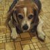 Nancy Piotrowski - Facebook