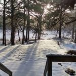 Nancy Pitcher - @nancypitcher - Instagram