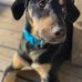Nancy Pittard - Facebook