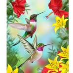 Nancy Plante - Facebook