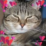 Nancy Plante - @nancy.plante.31 - Instagram