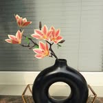 Ritu Gujela - @nancy_planters - Instagram