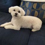 Nancy Platt - @nancyplatt704 - Instagram