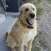 Nancy Platt - Facebook
