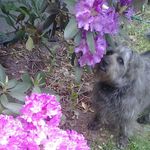 Nancy Platt - @nly48 - Instagram