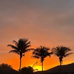 Nancy Pletcher - @pletcher_nancy - Instagram