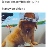 Nancy Plouffe - @nanplouf - Instagram