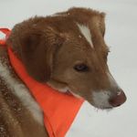 Nancy Plouffe - @nancyplouffe - Instagram