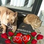 Nancy Plumlee - @nancy.plumlee.3 - Instagram