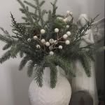 Nancy LaRee Plummer - @nancyplummer71 - Instagram