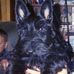 Nancy Plunkett - Facebook