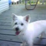 Nancy Tazelaar Plunkett - @ntplunkett - Instagram