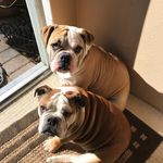 Nancy Pointer - @npointer - Instagram