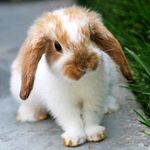 nancy poland - @nancypoland1234 - Instagram