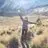 nancy_polly04 - @nancy_polly04 - TikTok