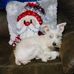 Nancy Quidore-Polonsky - Facebook