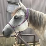 Nancy Poplinger - @nancypoplinger - Instagram