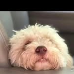 Nancy porter - @nancyporter2978 - Instagram