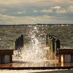 Nancy Porter - @negativenancyphoto - Instagram