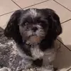 Nancy Porter - @nancy.porter58 - TikTok