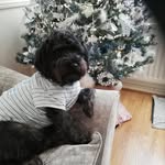 Nancy Porter - @nancyvadella - Instagram