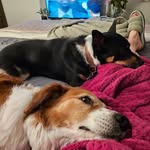 Nancy Pustaver Porter - @nancyporter6437 - Instagram