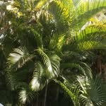 Nancy Pothier - @nancy.pothier - Instagram