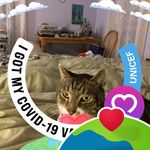 Nanci Poulos - @_tarotgirl44 - Instagram