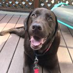 Nancy Kelso Powers - @nancy_powers - Instagram