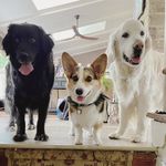 Nancy Powers - @nancypowers62 - Instagram