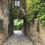 Nancy Elizabeth Prentice - @nancyelizabethprentice - Instagram