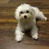Nancy Pressley - @nancy.pressley - TikTok