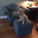 Nancy Pressley - @npressley1944 - Instagram